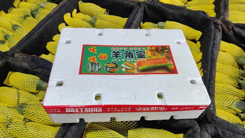 头茬羊角蜜甜瓜一件代发61博洋72蜜园十八团购档代收代发