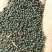 菜油一级