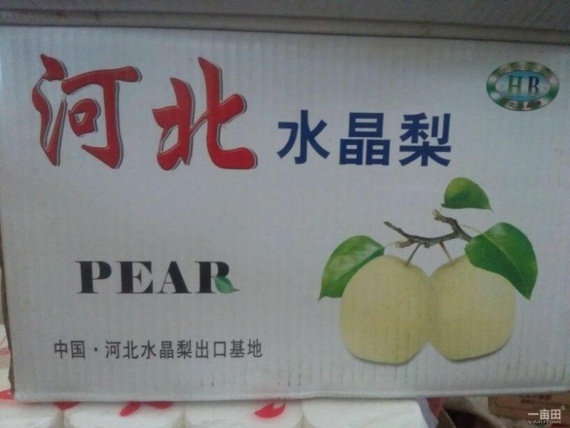 皇冠梨550~600g纸加膜