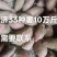 河南许昌商薯19，市场货，电商货，加工厂货，产地直供，