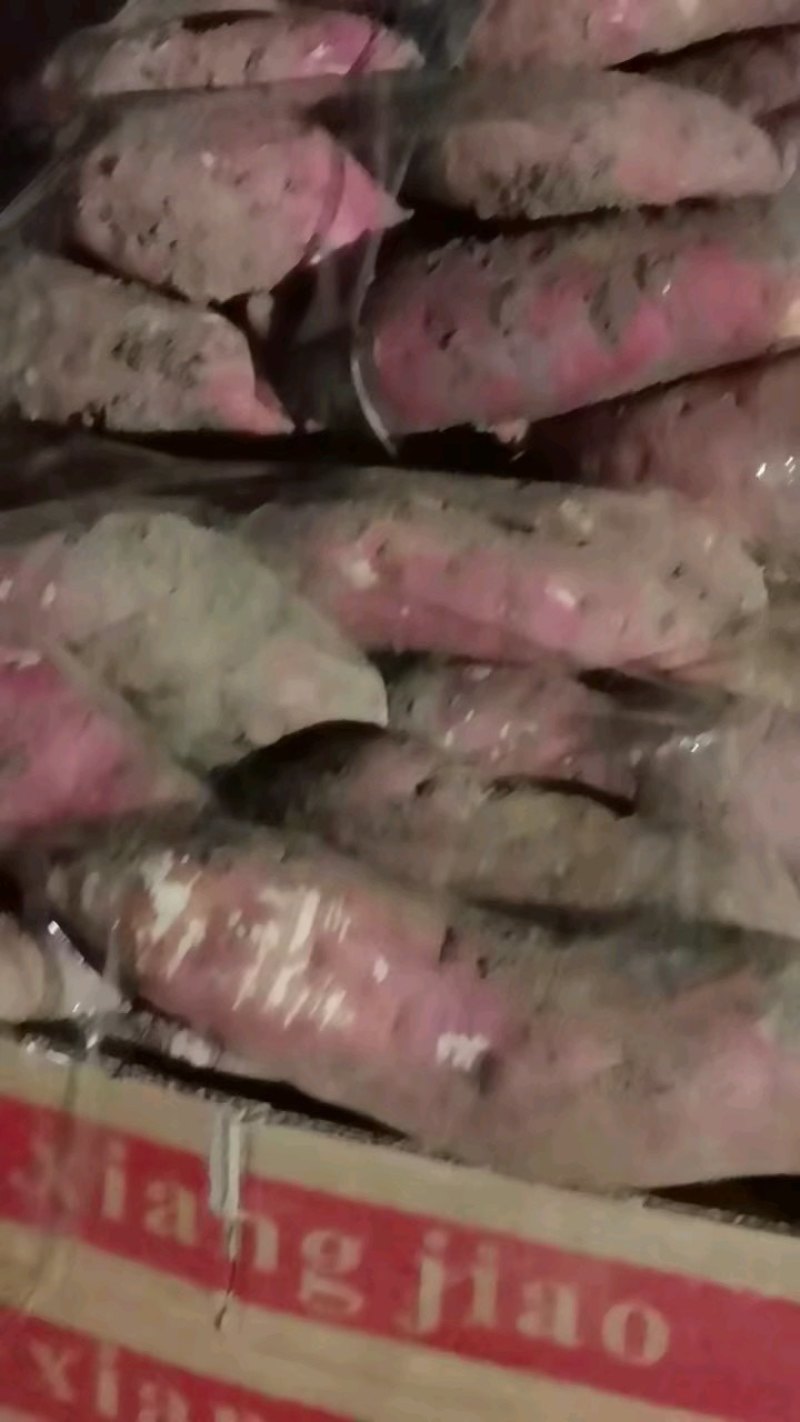 河南许昌商薯19，市场货，电商货，加工厂货，产地直供，