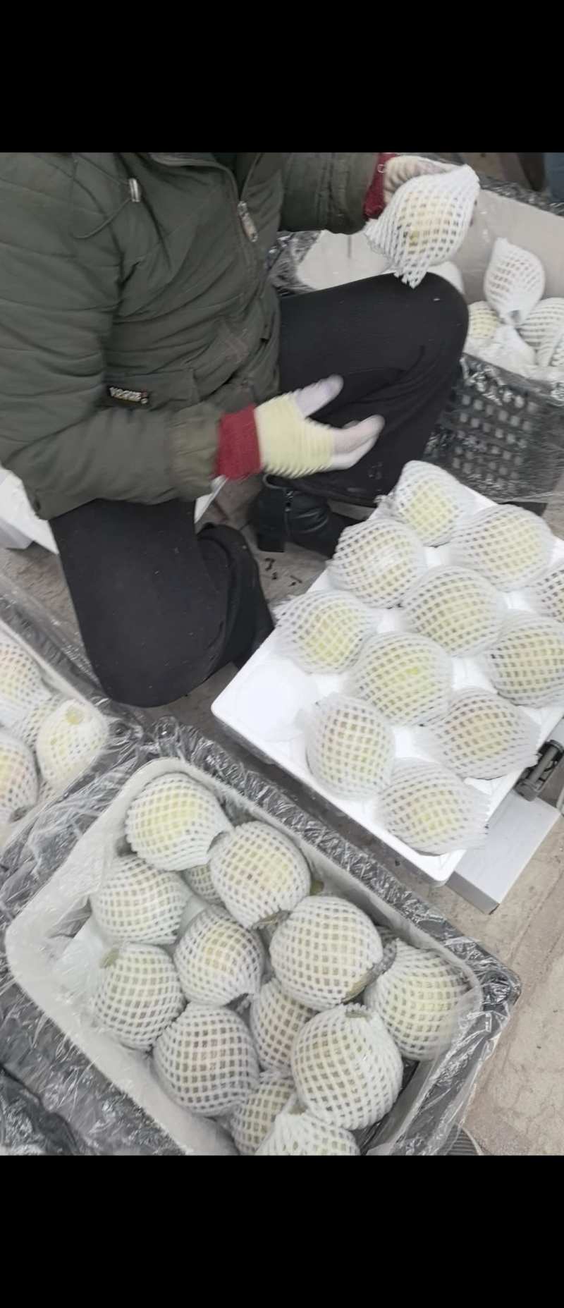 玉露香田园