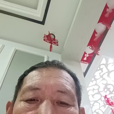 野生茵陈