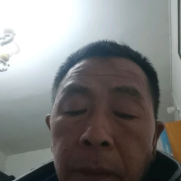 w-默科特