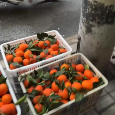两箱果面，质量稍差。