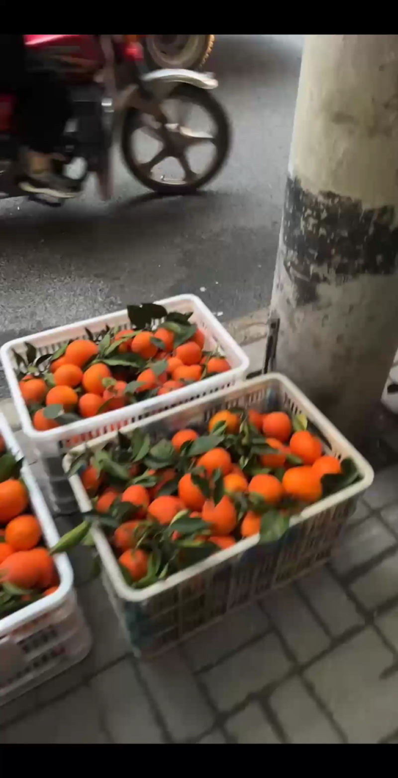 两箱果面，质量稍差。