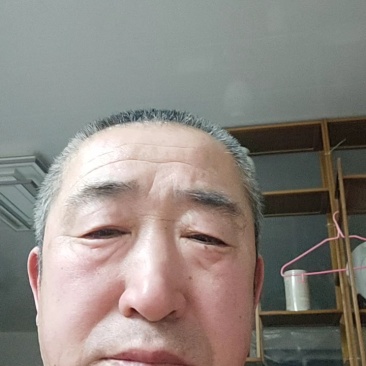 大连海带长丝盐渍海带丝自有产地支持电商社区团购一件代发