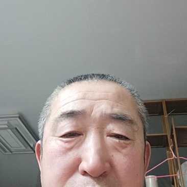 大连海带头