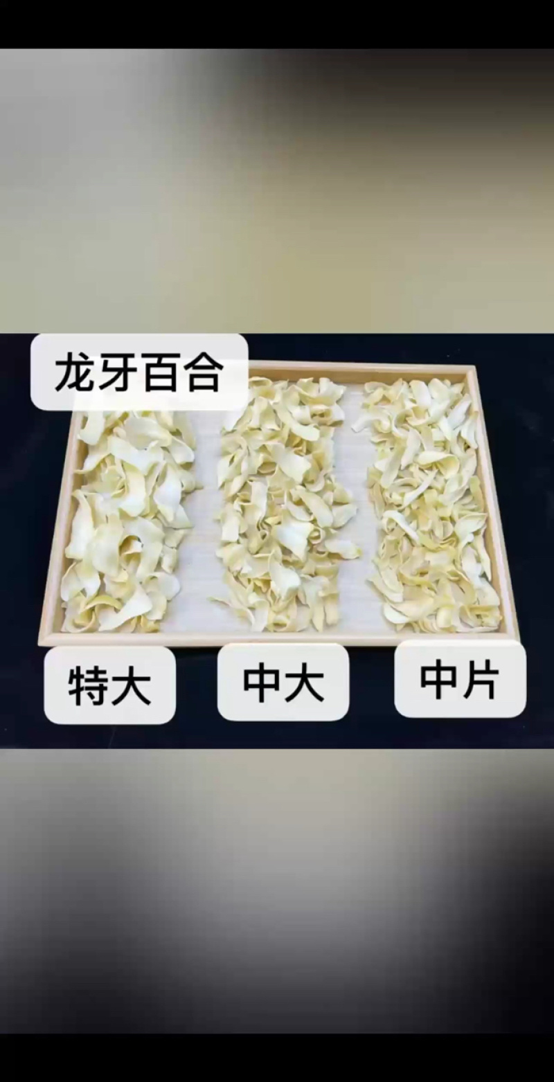 特大号龙牙百合，货量充足！