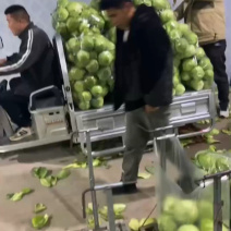 青梗硬实，货源充足，联系批发