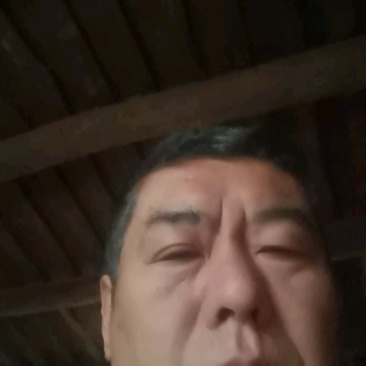 山东省聊城市莘县黄皮尖椒基地直供长20多公分
