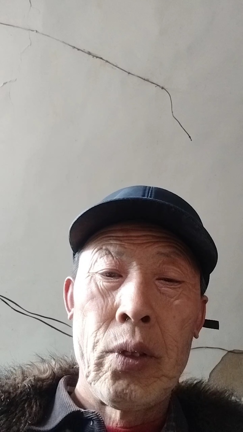 沁州黄小米
