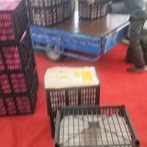 大红沙瓤西红柿，量大价优，支持视频看货，欢迎采购