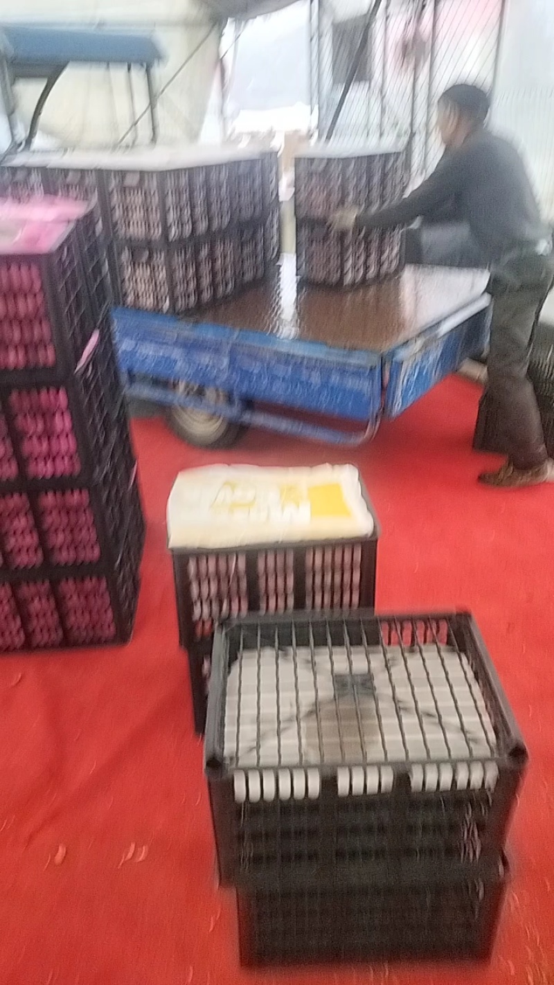 大红沙瓤西红柿，量大价优，支持视频看货，欢迎采购