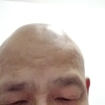 双孢菇每日3吨通货