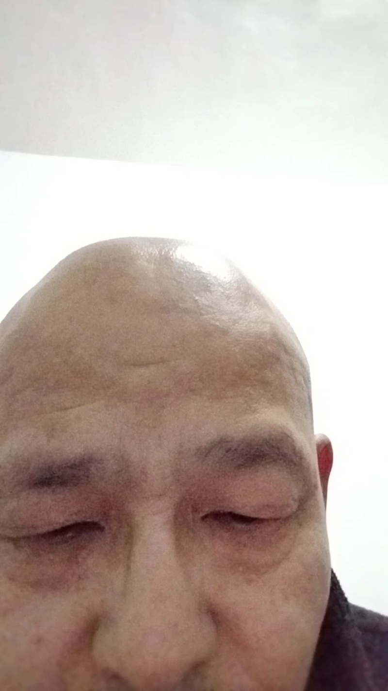 双孢菇每日3吨通货