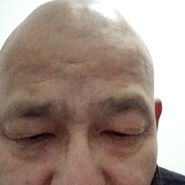 双孢菇（鲜菇或统货）