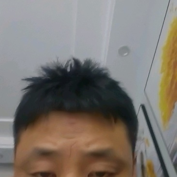 二红洋葱紫皮红皮洋葱代收代发代加工货源足规格齐全