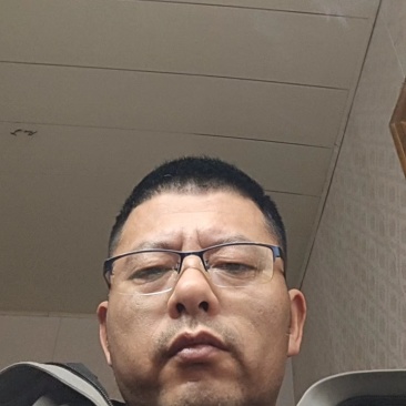 精品五彩椒，黄椒，产地直发货源充足，品质保证，欢迎各地