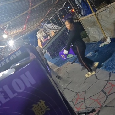 海南产地精品麒麟瓜对接电商市场商超可视频看货