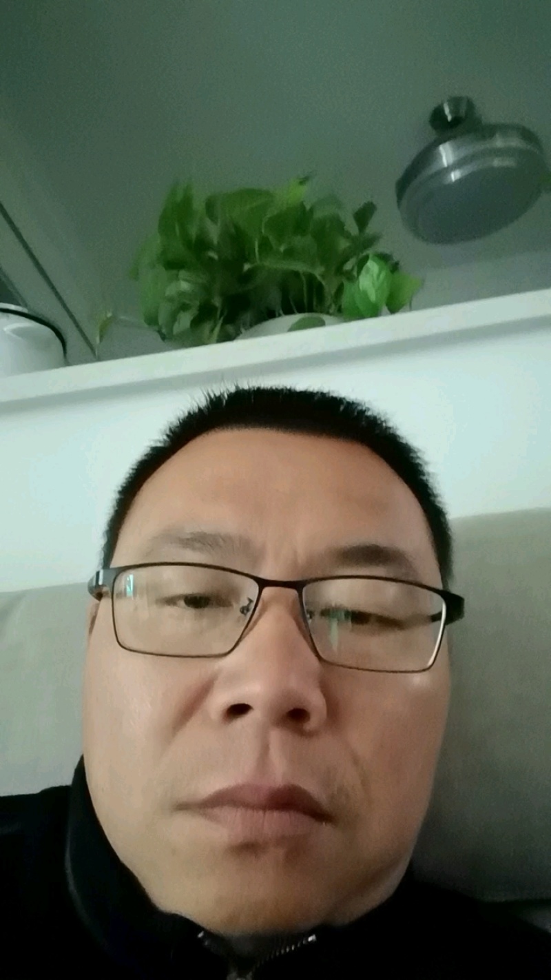 正宗芷江虫白蜡
