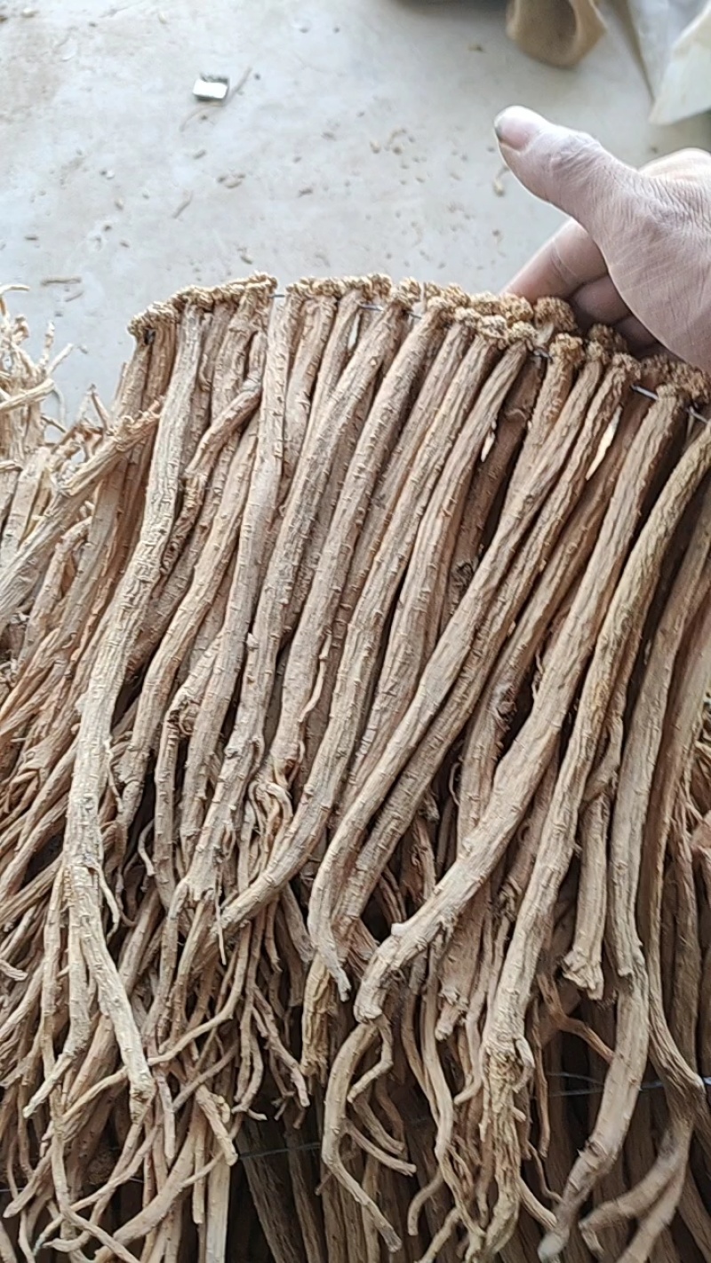 甘肃白条党参精品段，保质保量，欢迎大家前来订购