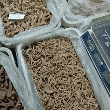 野生黄芪斜片，无杂子，颜色正，原产地发货，可以大量供货