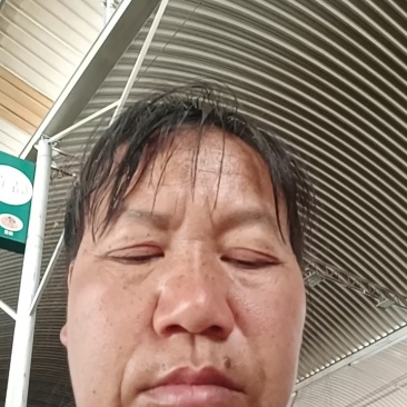 云南省普洱市景东彝族自冶县、无量蜜柚(傣王柚丿