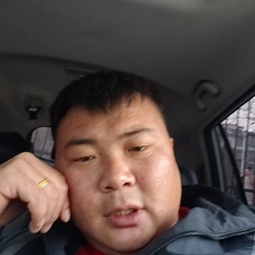 山东百万亩羊角蜜瓜大量供应，对接市场商超电商支持一件代发