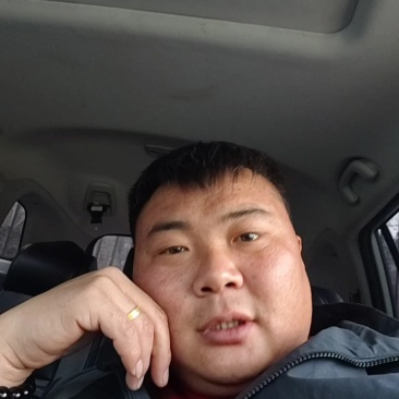 山东单县东方密甜瓜开始大量供应可按需包装代发全国诚信第一