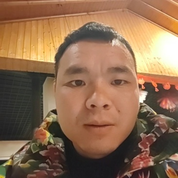 散养绿壳土鸡蛋，土鸡蛋