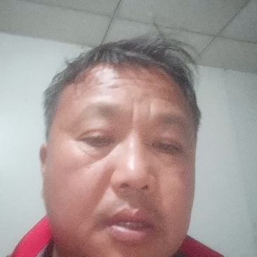 惠州湖镇草皮直销基地品质保证价格合理供应全国