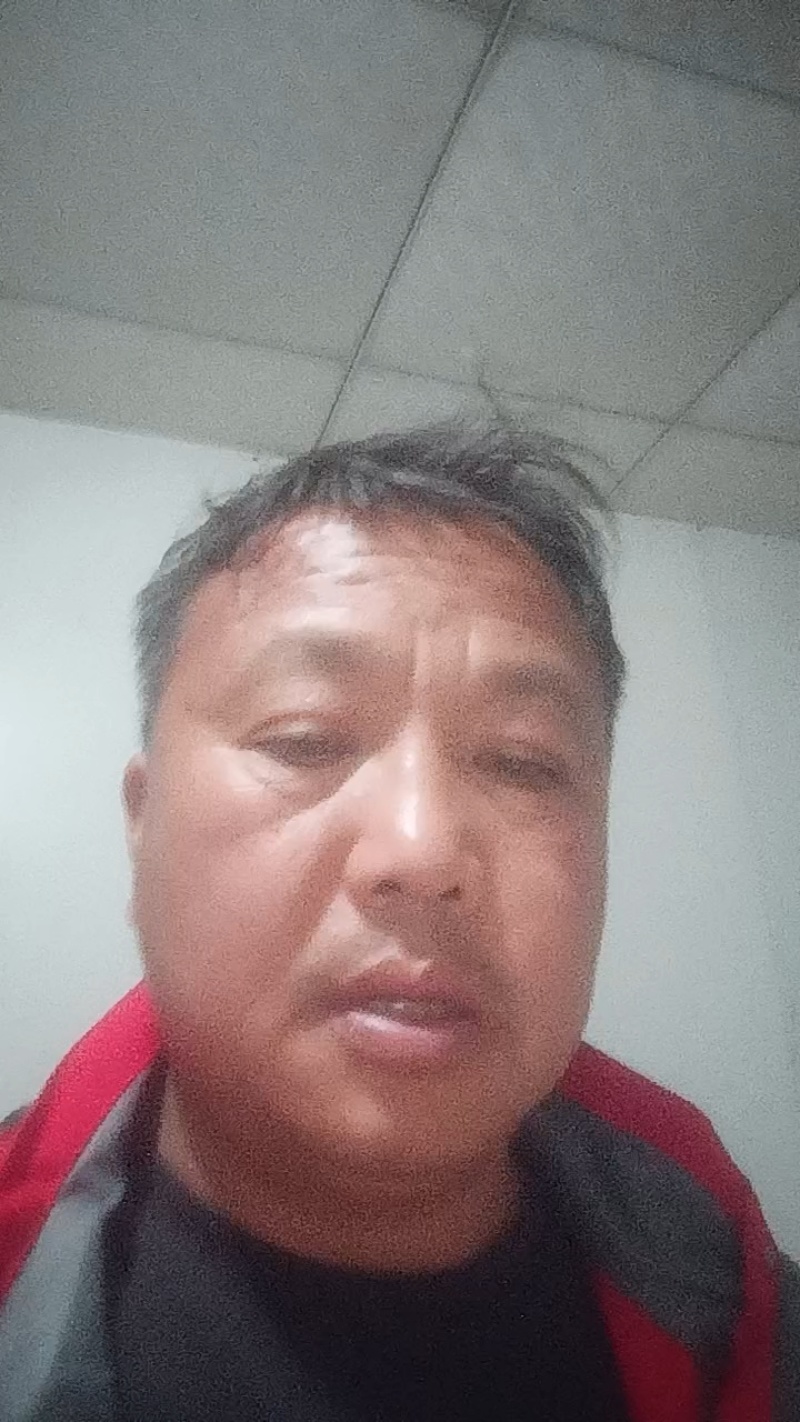 惠州湖镇草皮直销基地品质保证价格合理供应全国