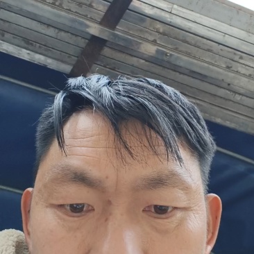 辣椒苗，产地直发，货源充足，量大从优，欢迎来电咨询