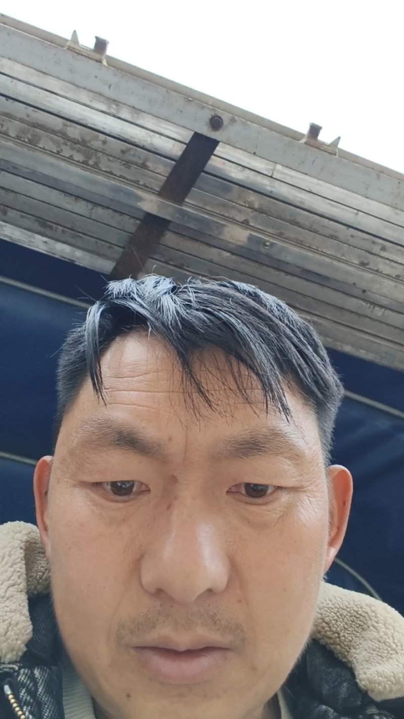辣椒苗，产地直发，货源充足，量大从优，欢迎来电咨询