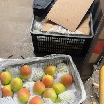 新梨七号产地直销口感脆甜货源充足一手货源质量有保证