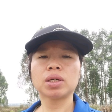 广西小叶紫玉淮山药，自家种植，口感好，价格实惠。