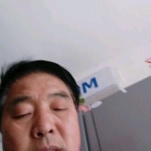 爱媛果冻橙原产地直发现摘现发大量供应一手货源
