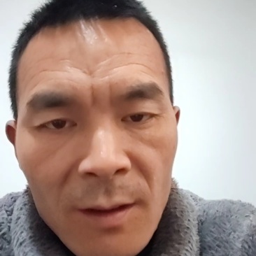 湖北秭归精品长虹脐橙个头皮薄，口感好，果面干净，产地直供