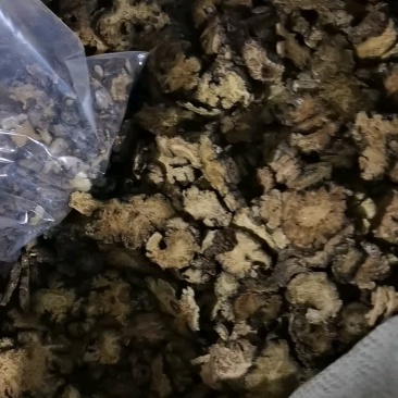 中药材川芎片选货统货颗粒规格齐全大货供应
