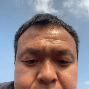 成品桃树品种齐全毛桃树苗嫁接成活率高果树种植