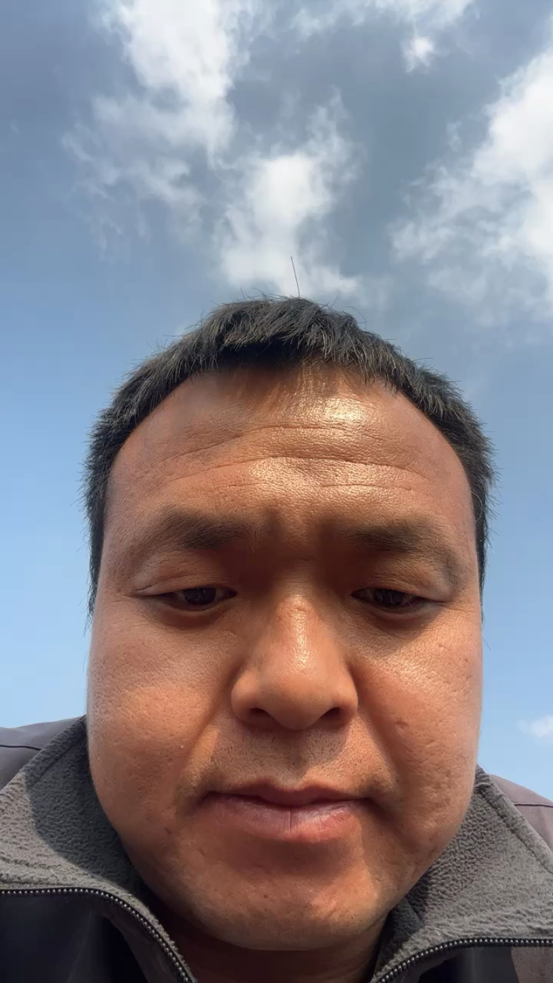 成品桃树品种齐全毛桃树苗嫁接成活率高果树种植