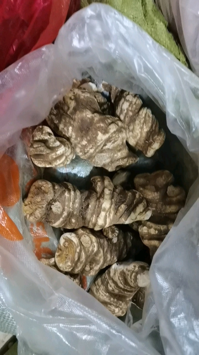 中药材重楼七叶一枝花重楼片一手货源大货供应，规格齐全