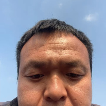 大量供应毛桃成品桃树苗