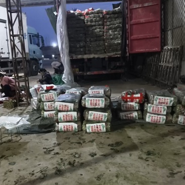 精品菠菜大小各种包装都有，代发全国货源充足，山东菏泽单县