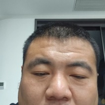 30、40、50、60鹿角灵芝
