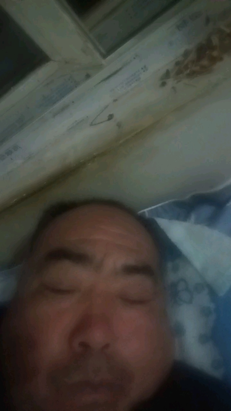 《精选》陕西红根蒜苗基地直发对接全国量大从优一条龙服务