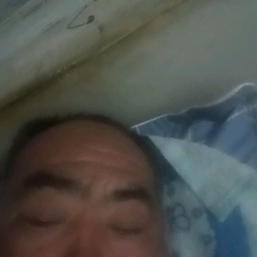 华卅区青皮罗卜欧亚二号陆续上市欢迎客商视频看货下单发货