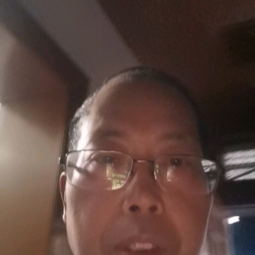 黄金贡柚枝条，可先买样品果后买枝条，提供管理技术