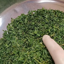 鸡骨草